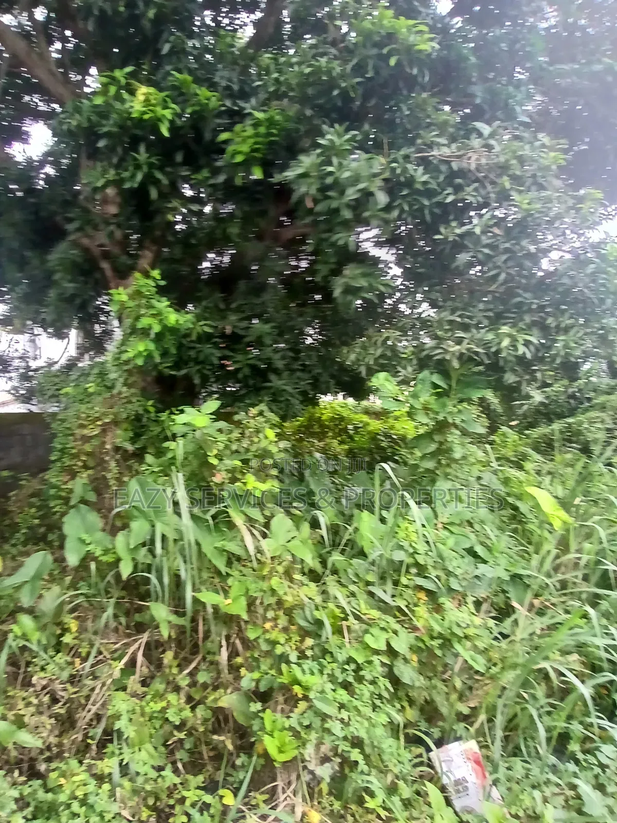 800sqm of Land (Fenced Gated) With C of O in Ajah in Ado / Ajah