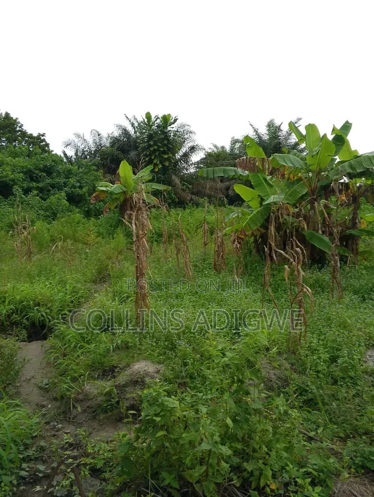 3 Plots Fenced Together for Sale in Awuyaya in Awoyaya