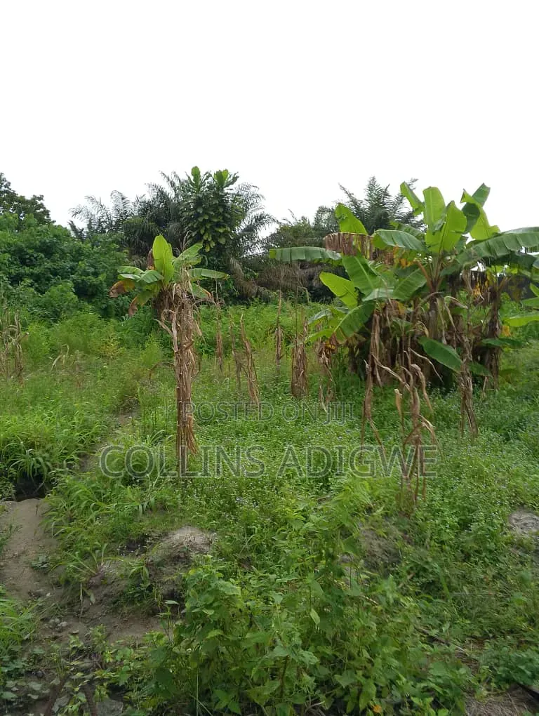 3 Plots Fenced Together for Sale in Awuyaya in Awoyaya