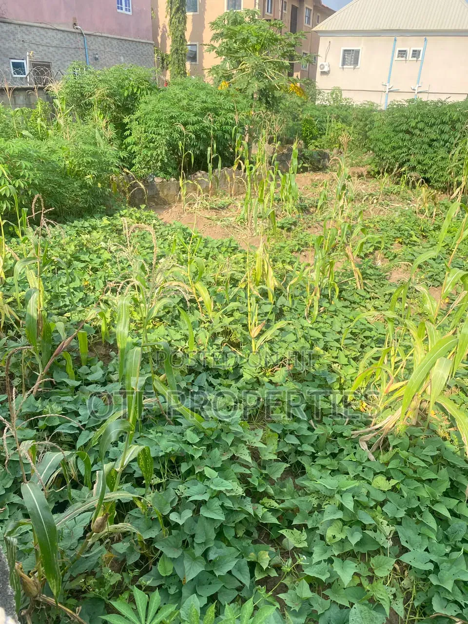 Land for Sale in Arab Road Kubwa. in Kubwa