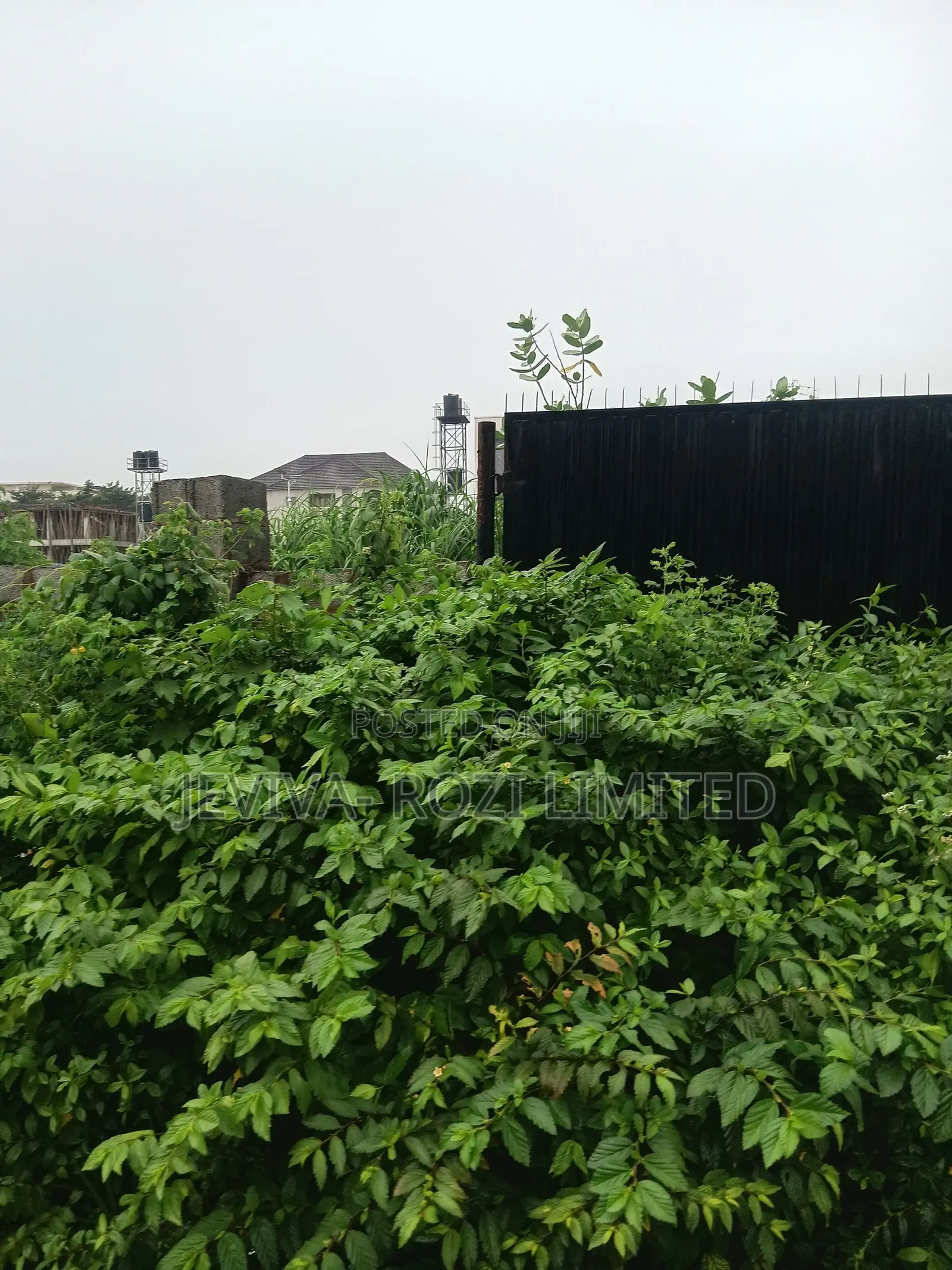 Certificate of Occupancy in Jahi