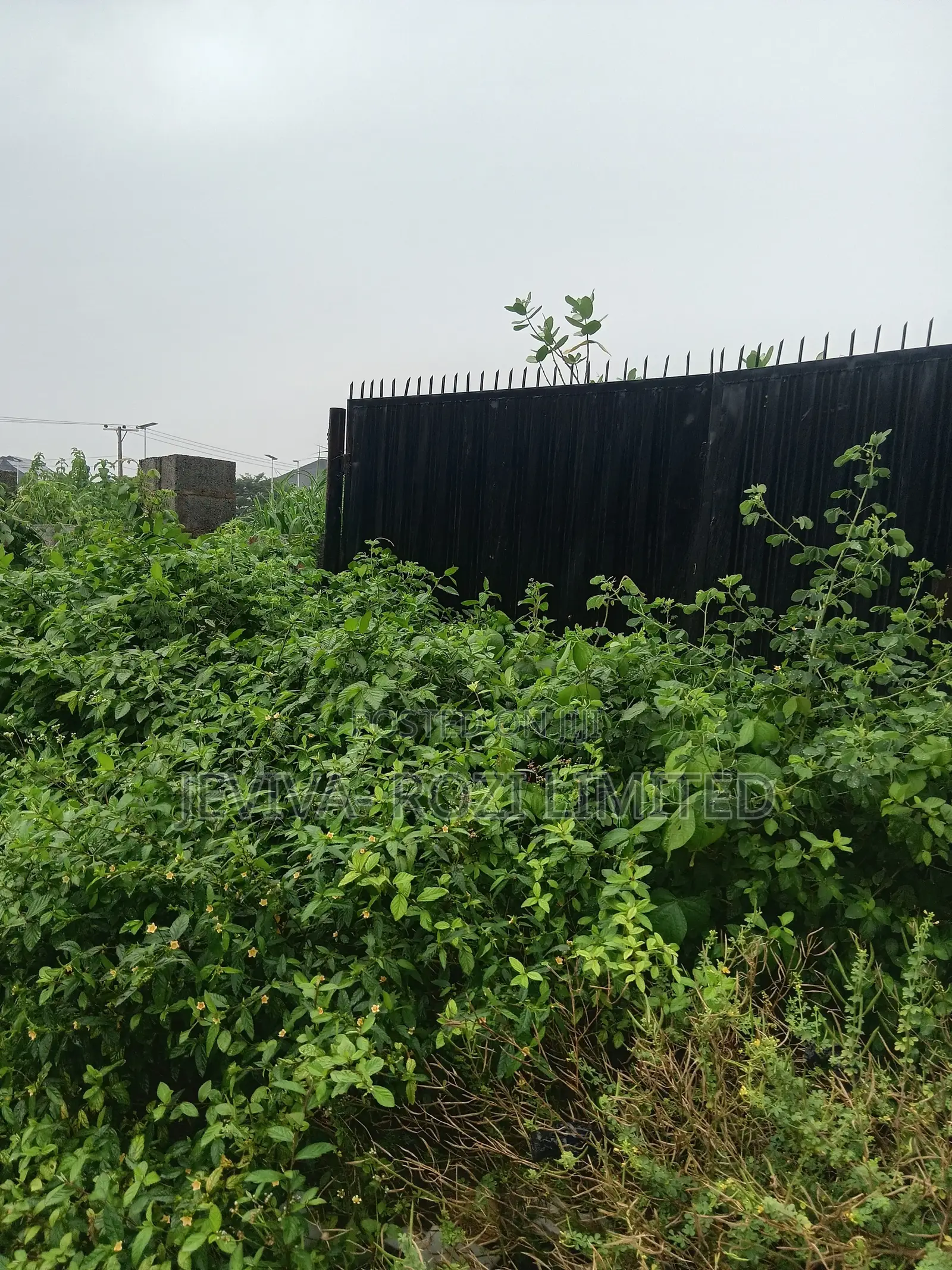 Certificate of Occupancy in Jahi