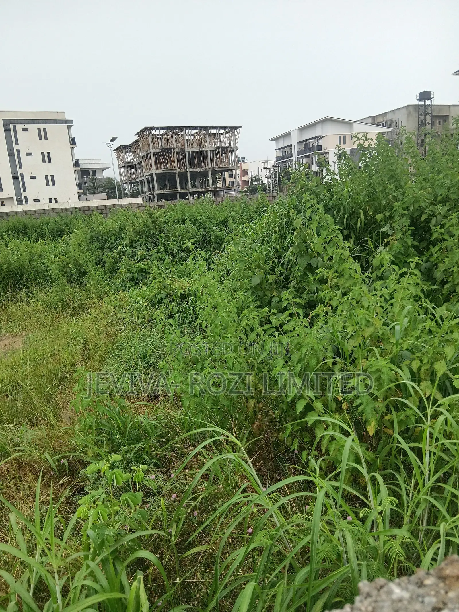 Certificate of Occupancy in Jahi