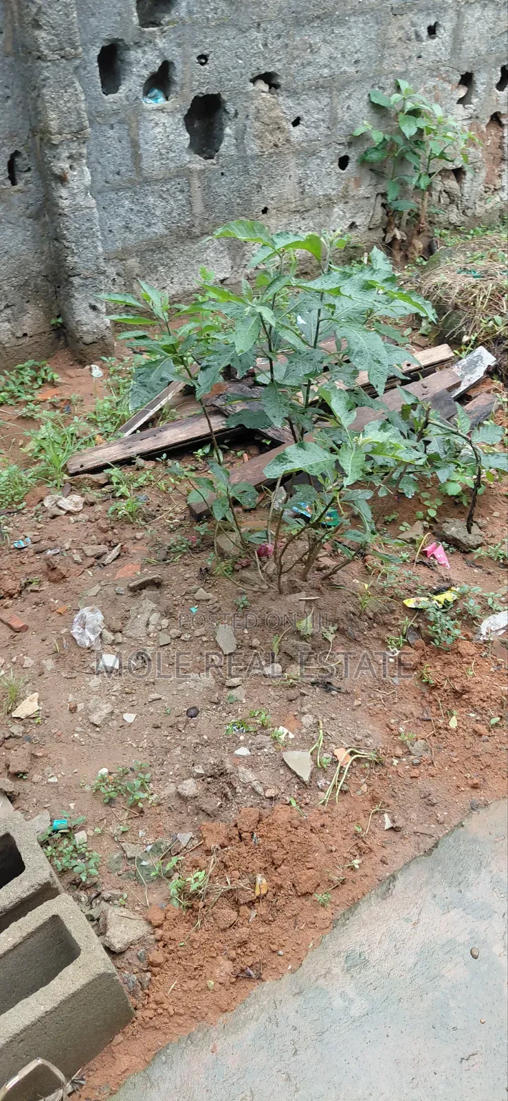 16,000sqm (4Acers) Facing Ikorodu Rd With Large Warehouse in Ikorodu Garage