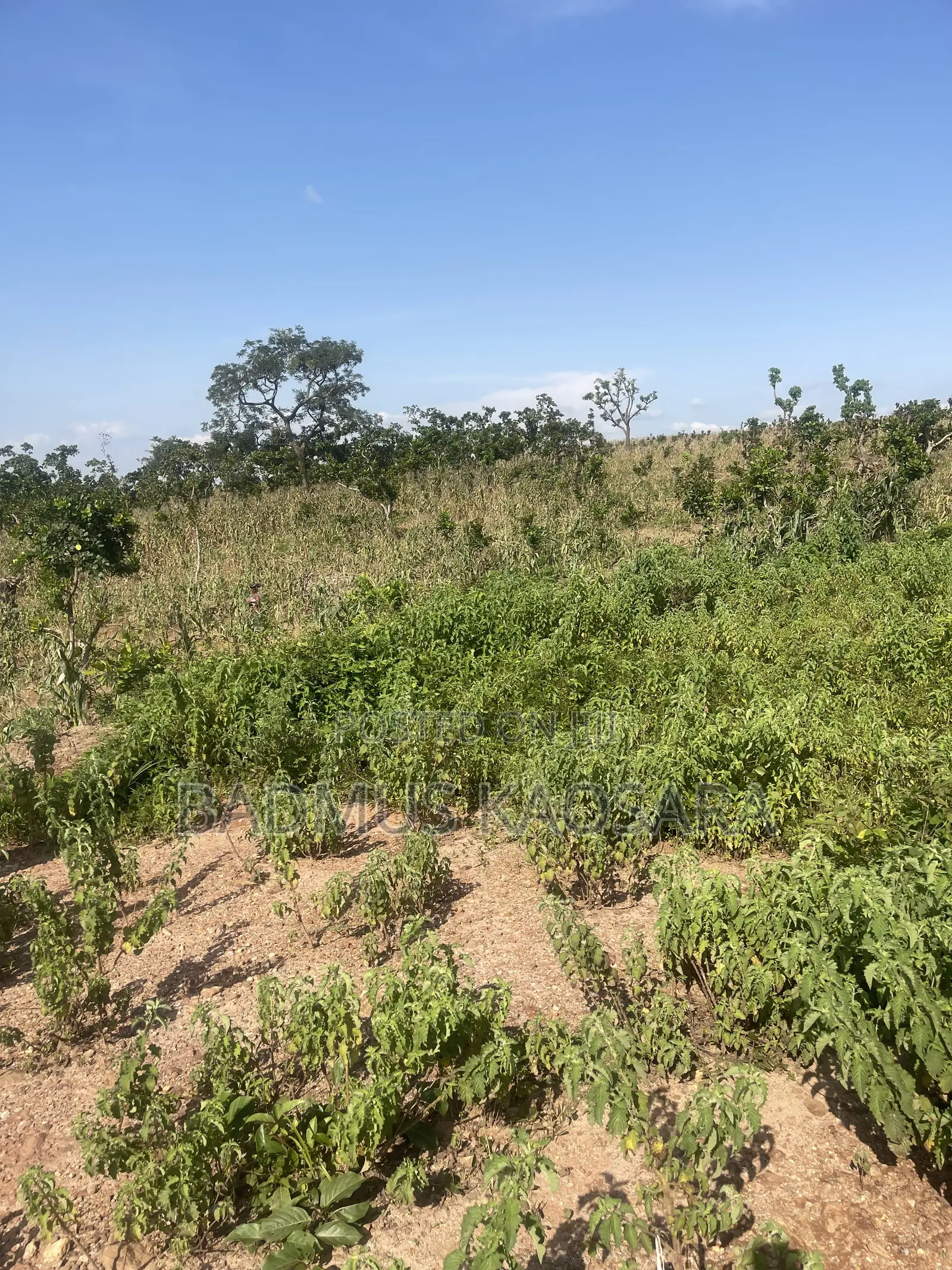 180SQM Estate Land Ideal for 2 Bedroom Terrace Duplex With C of O in Guzape District