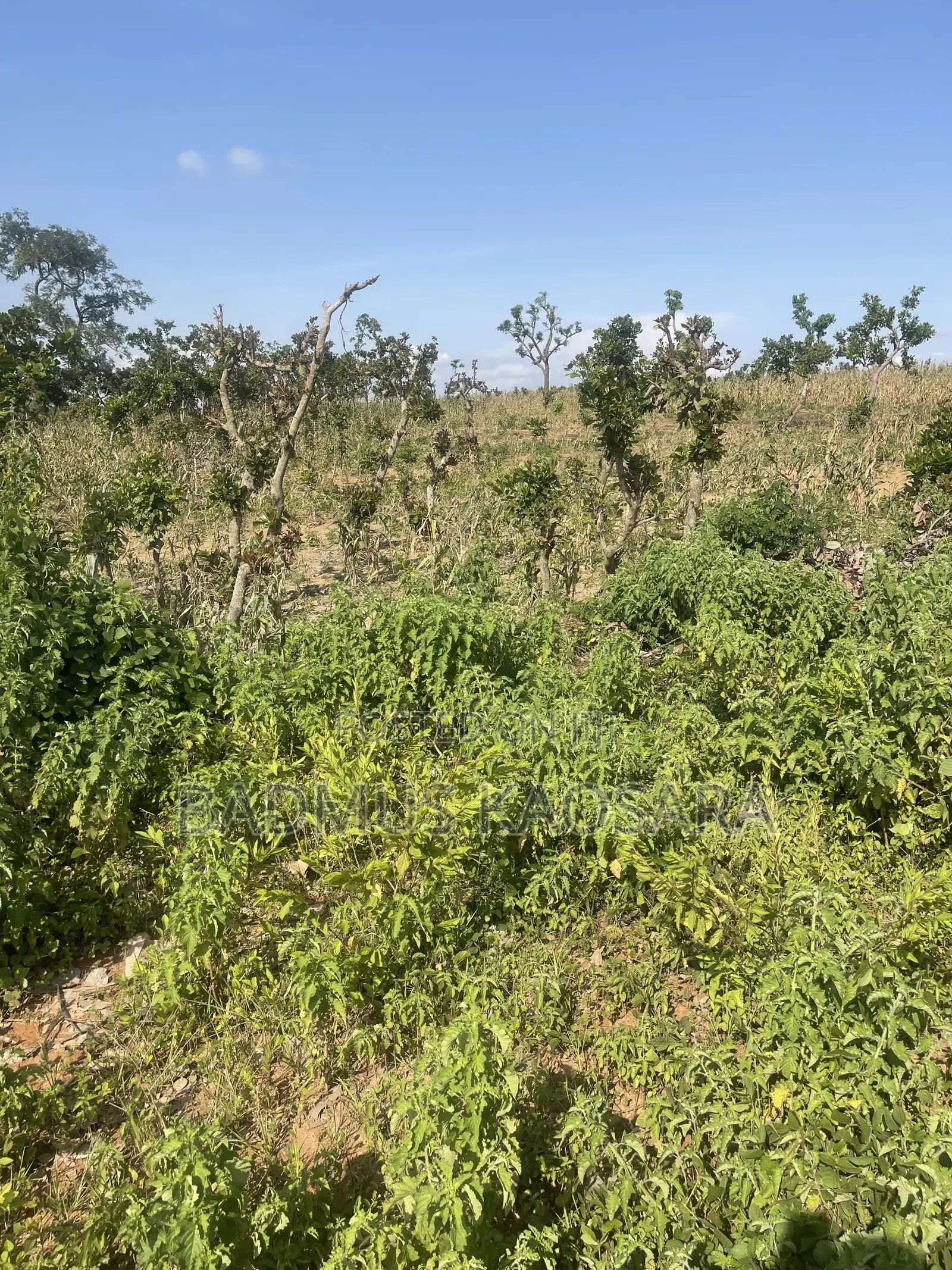 180SQM Estate Land Ideal for 2 Bedroom Terrace Duplex With C of O in Guzape District