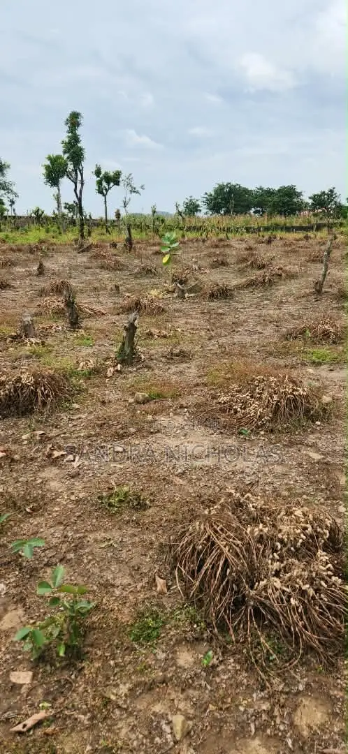 200 Square Meter Estate Plot for 3 Bedroom Terrace Duplex in Kuje