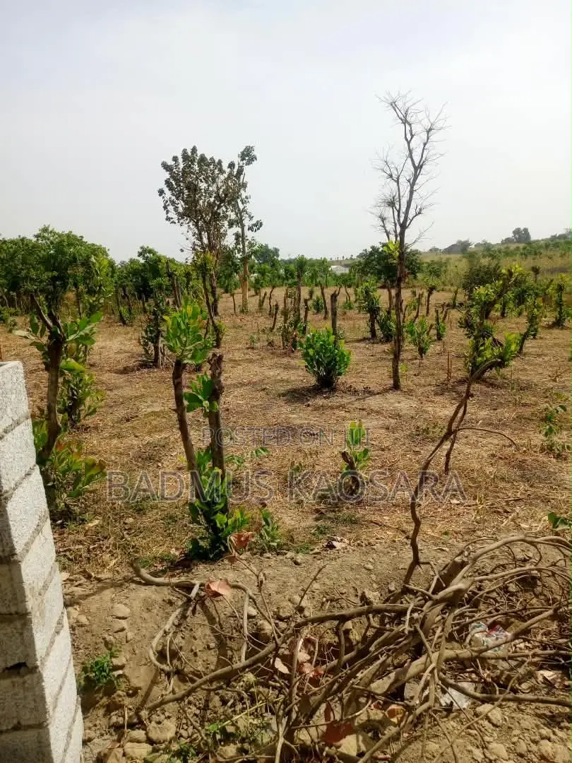 350SQM Estate Land Ideal for 3 Bedroom Bungalow With R of O in Kuje