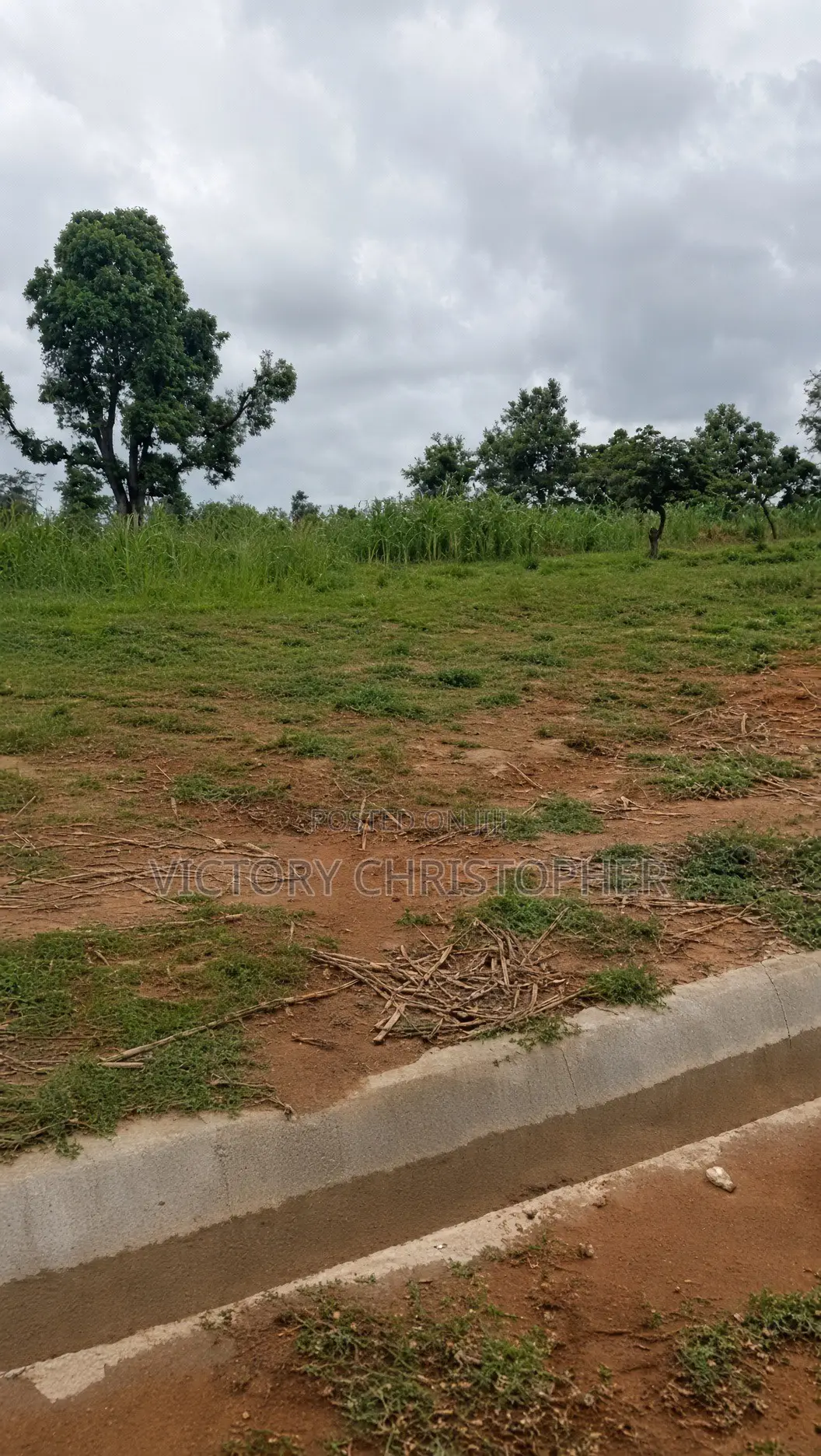 65 Hectares Mixed Use Land in Idu