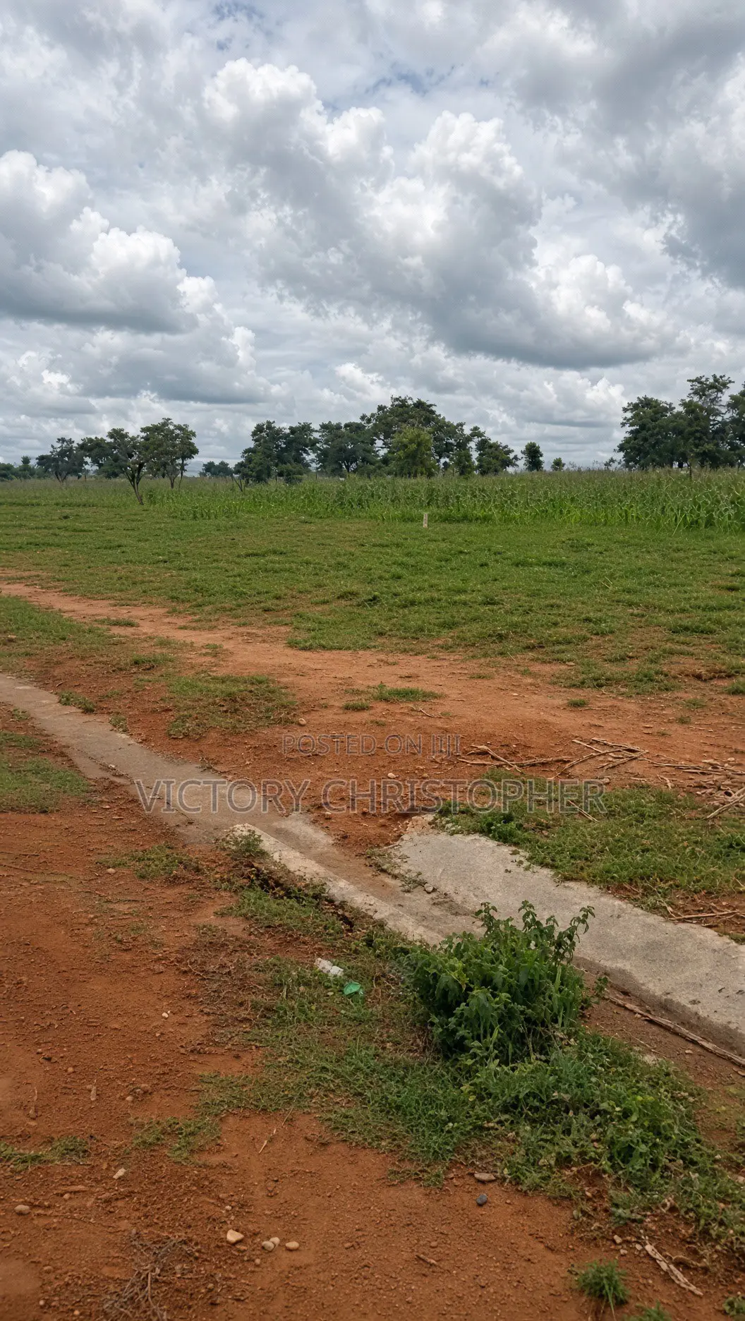 65 Hectares Mixed Use Land in Idu