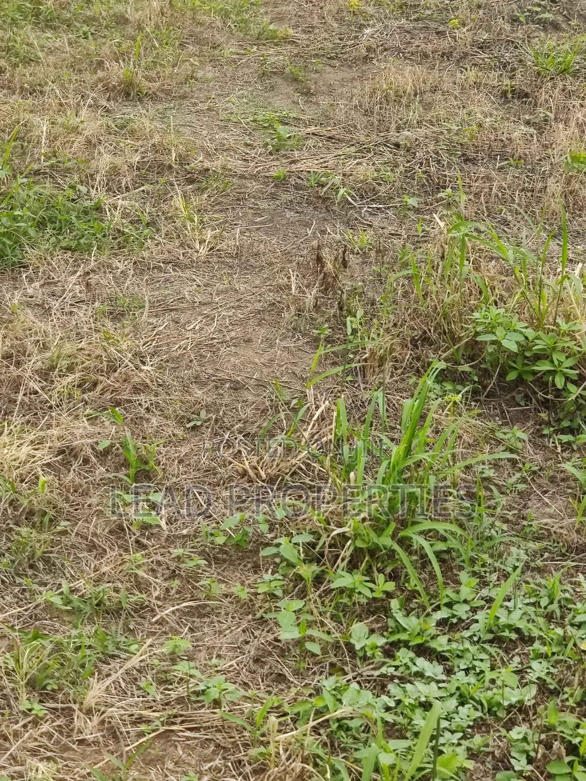 Three Plots Land for Sale in Alagbaka GRA Extension in Akure