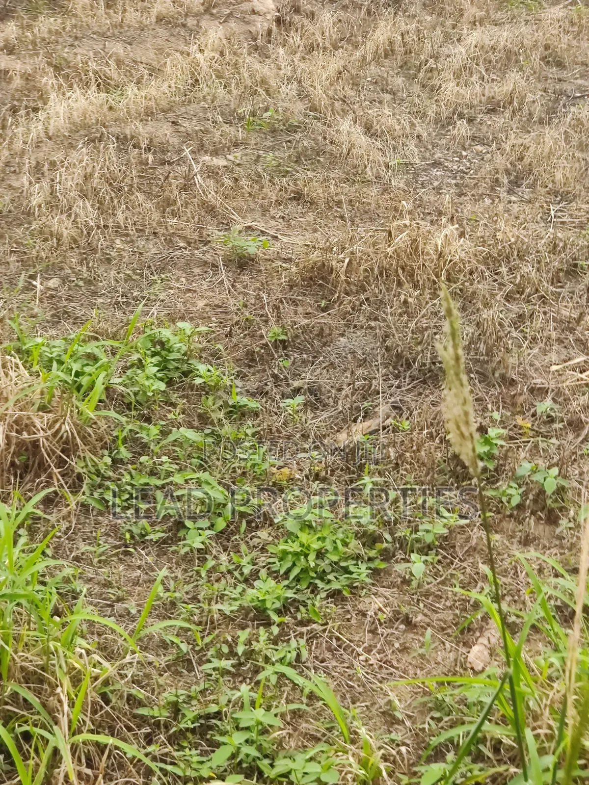 Three Plots Land for Sale in Alagbaka GRA Extension in Akure