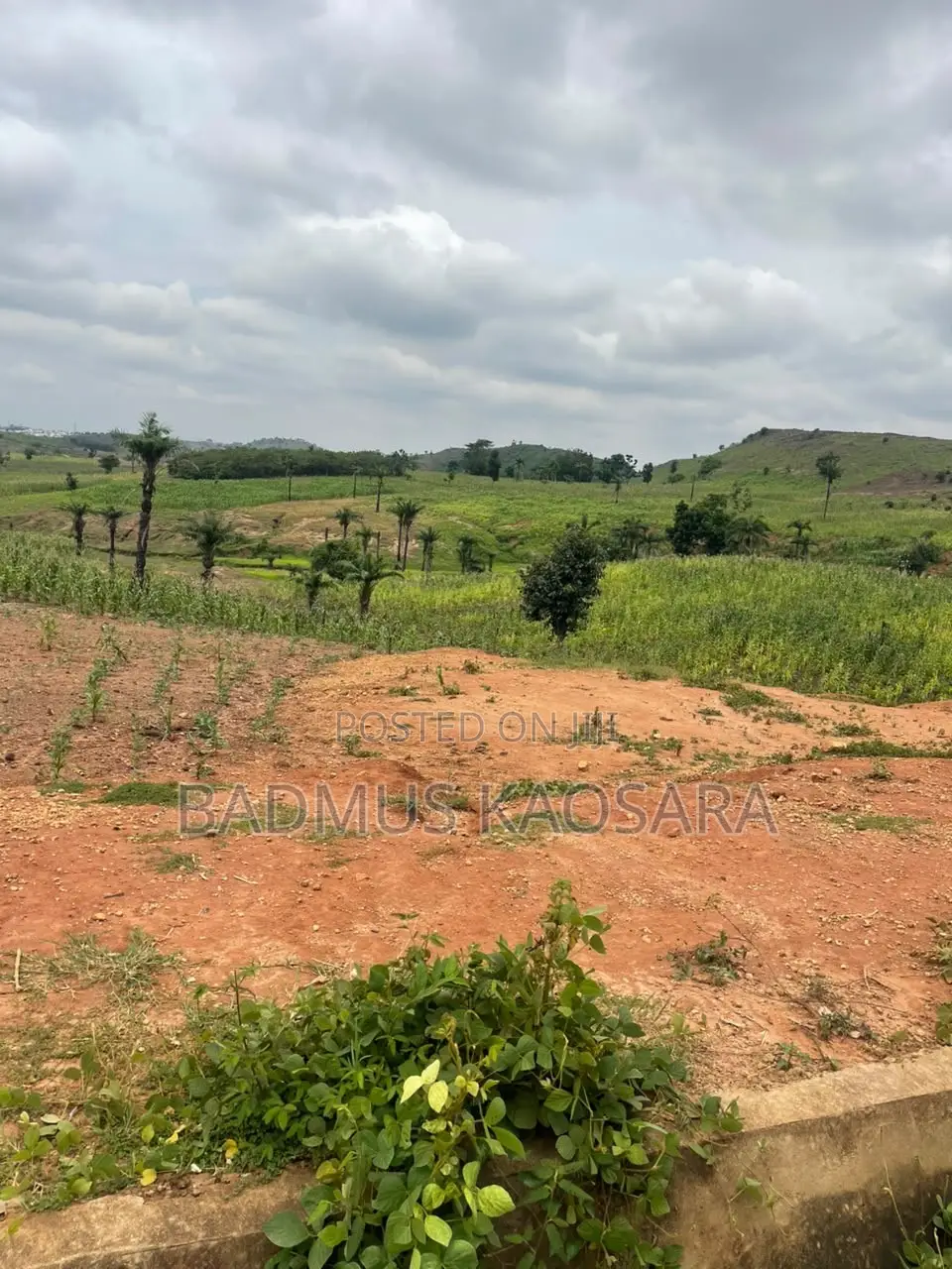 500SQM Estate Land Ideal for 5 Bedroom Fully Detached With C of O in Wasa