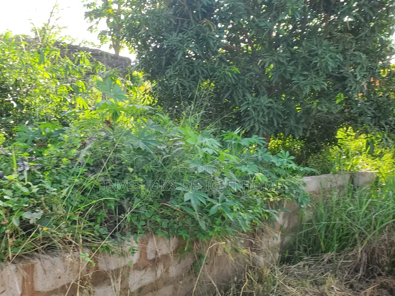 Landed Property for Sale in Oshimili North