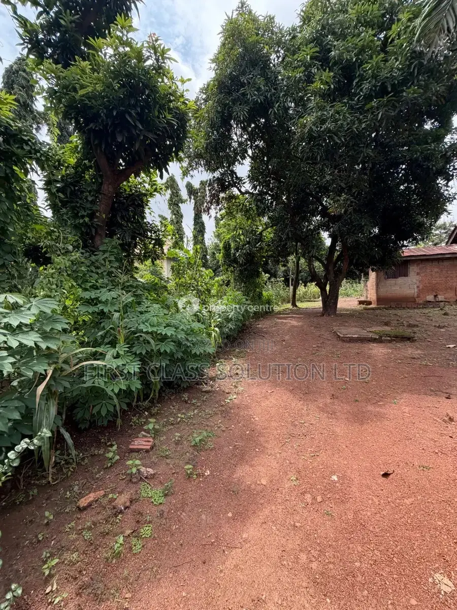 3 Plots of Land With C of O R/C Available in Enugu State