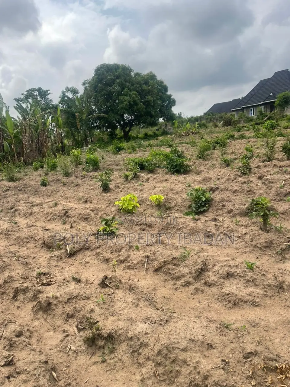 500sqm in Ologuneru in Ibadan