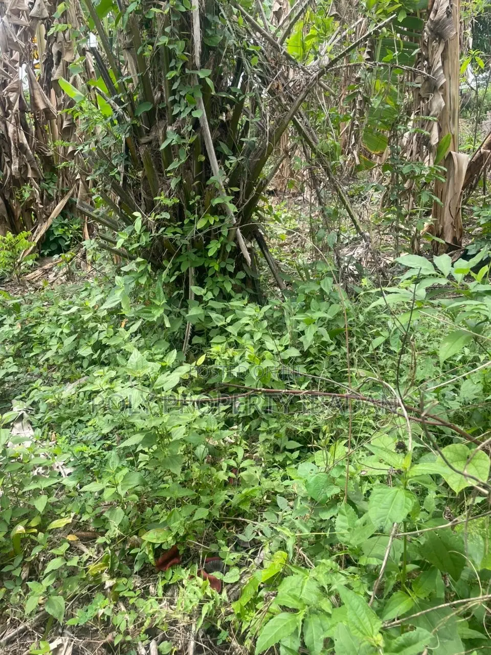 500sqm in Ologuneru in Ibadan