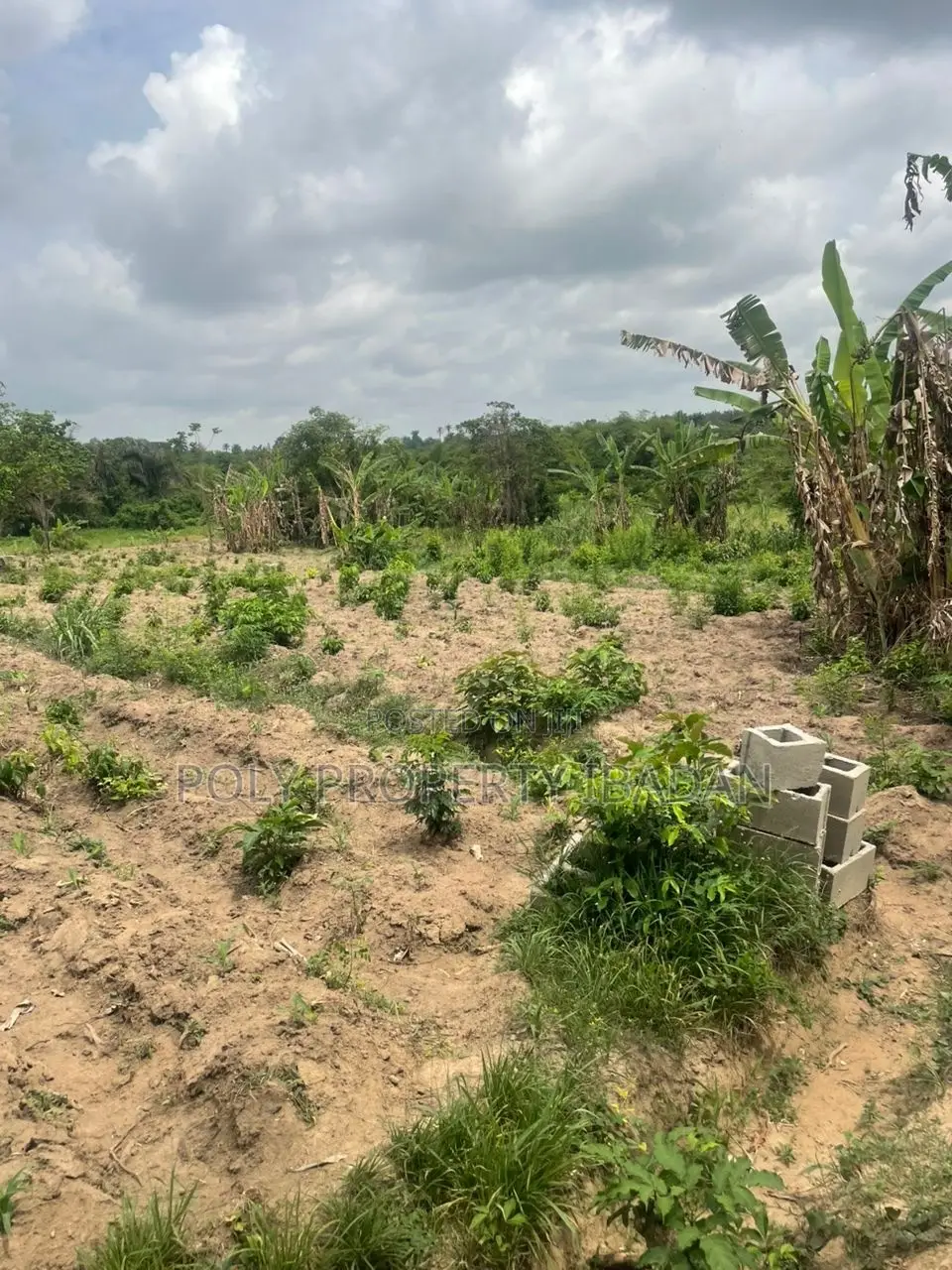 500sqm in Ologuneru in Ibadan