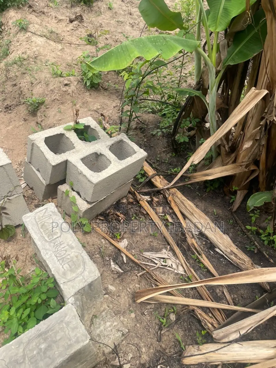 500sqm in Ologuneru in Ibadan