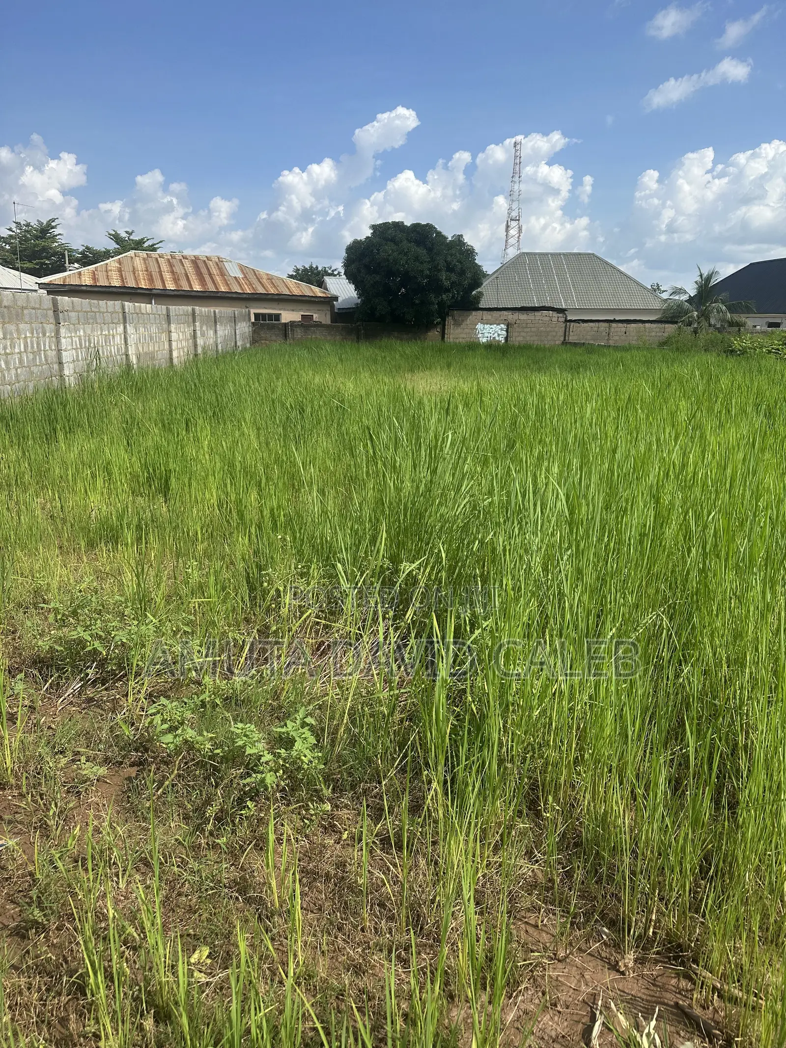 Land for Sale in Nyanya