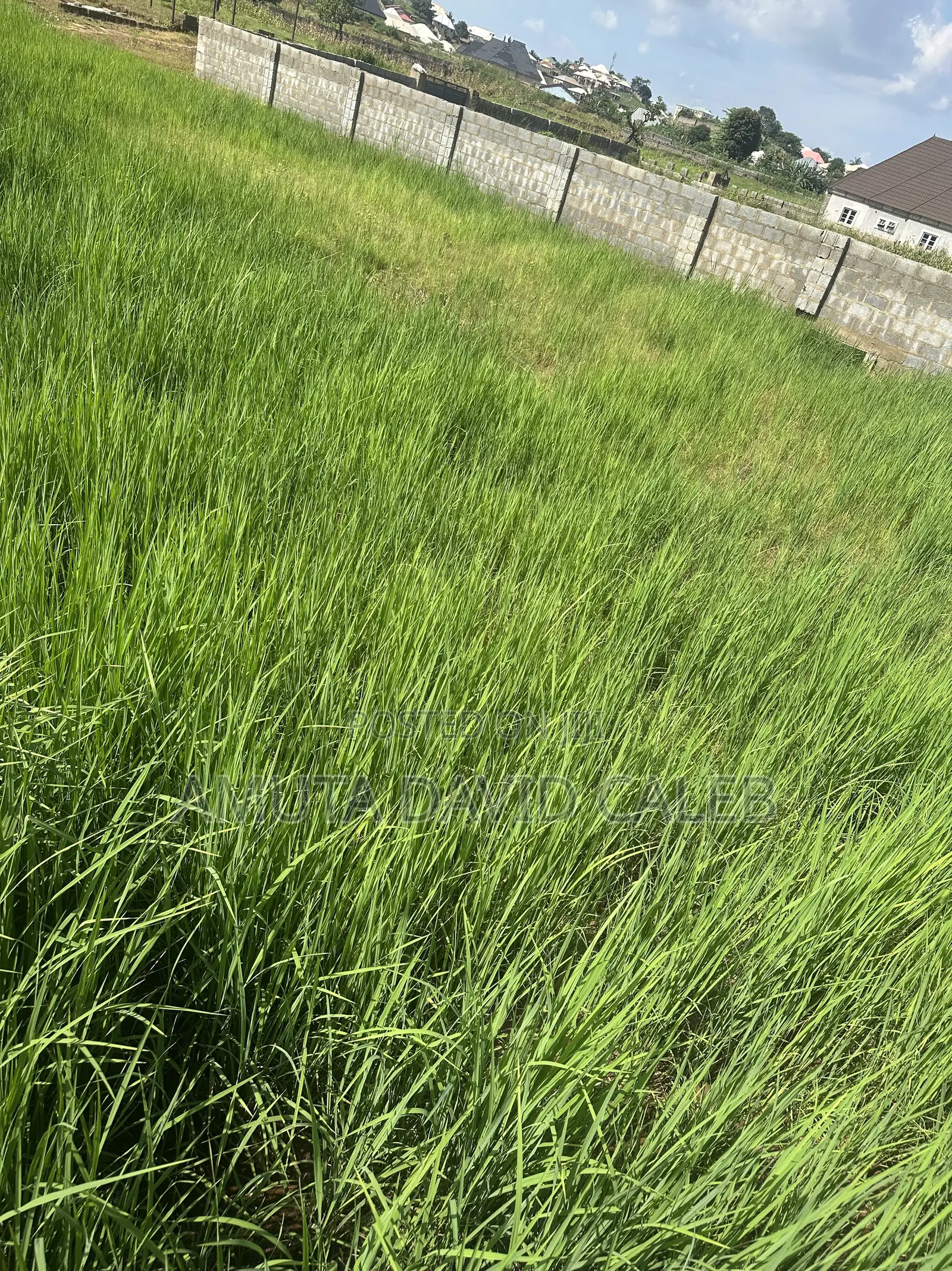 Land for Sale in Nyanya