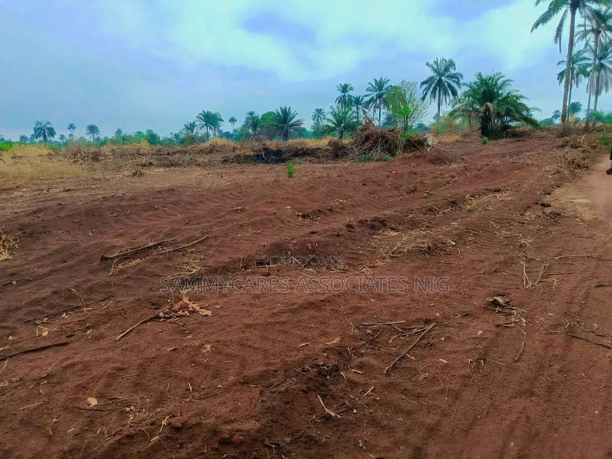 Landed Property in Ibusa Asaba Delta State for Sale in Oshimili North