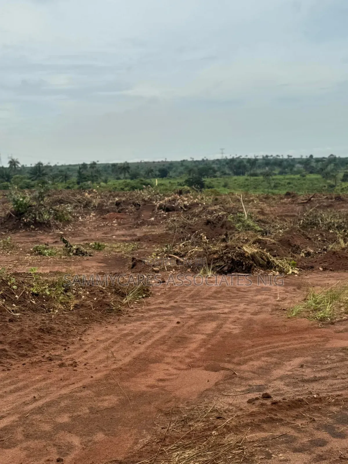 Landed Property in Ibusa Asaba Delta State for Sale in Oshimili North