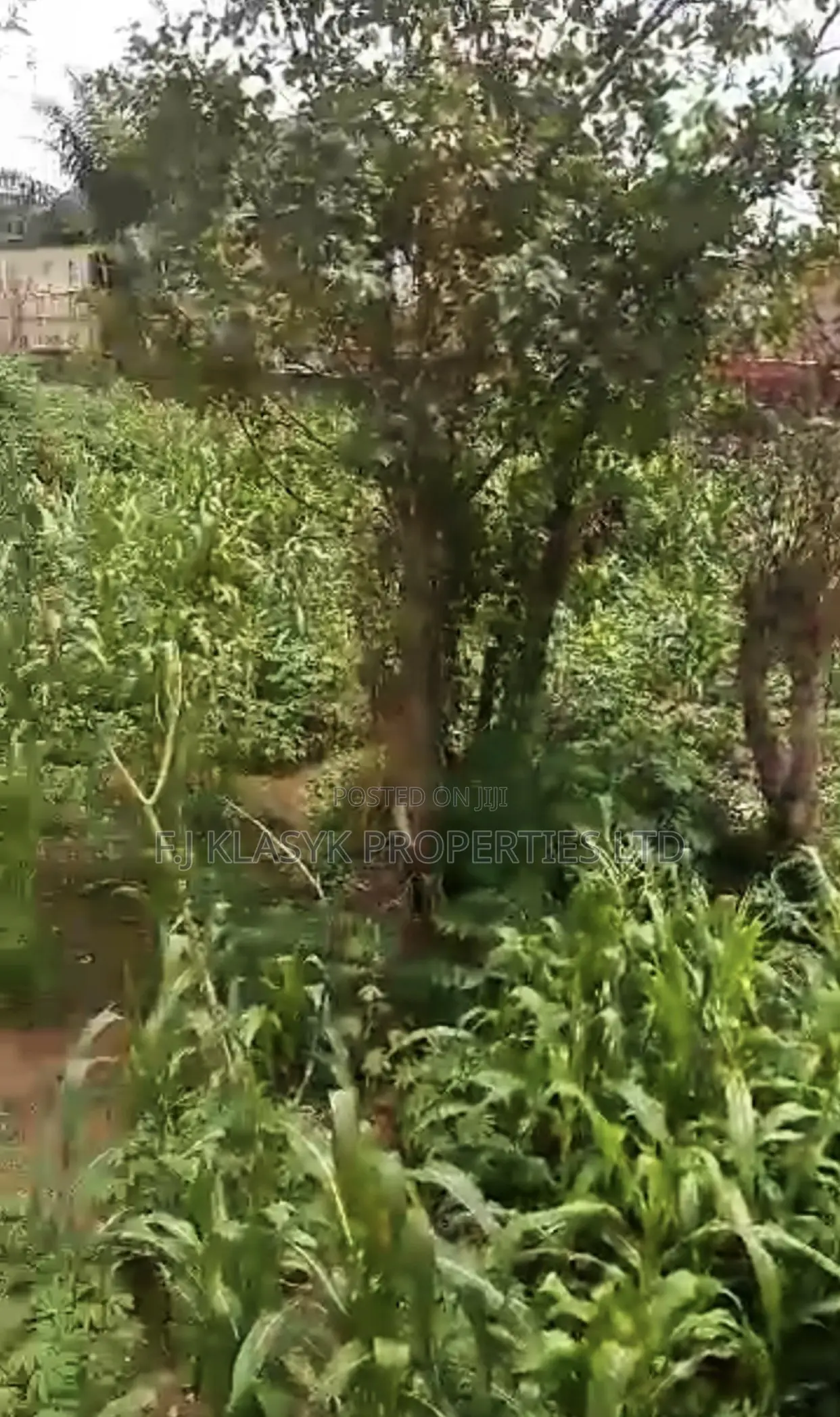 100ft by 200ft Fence Round in a Serene Environment in Benin City