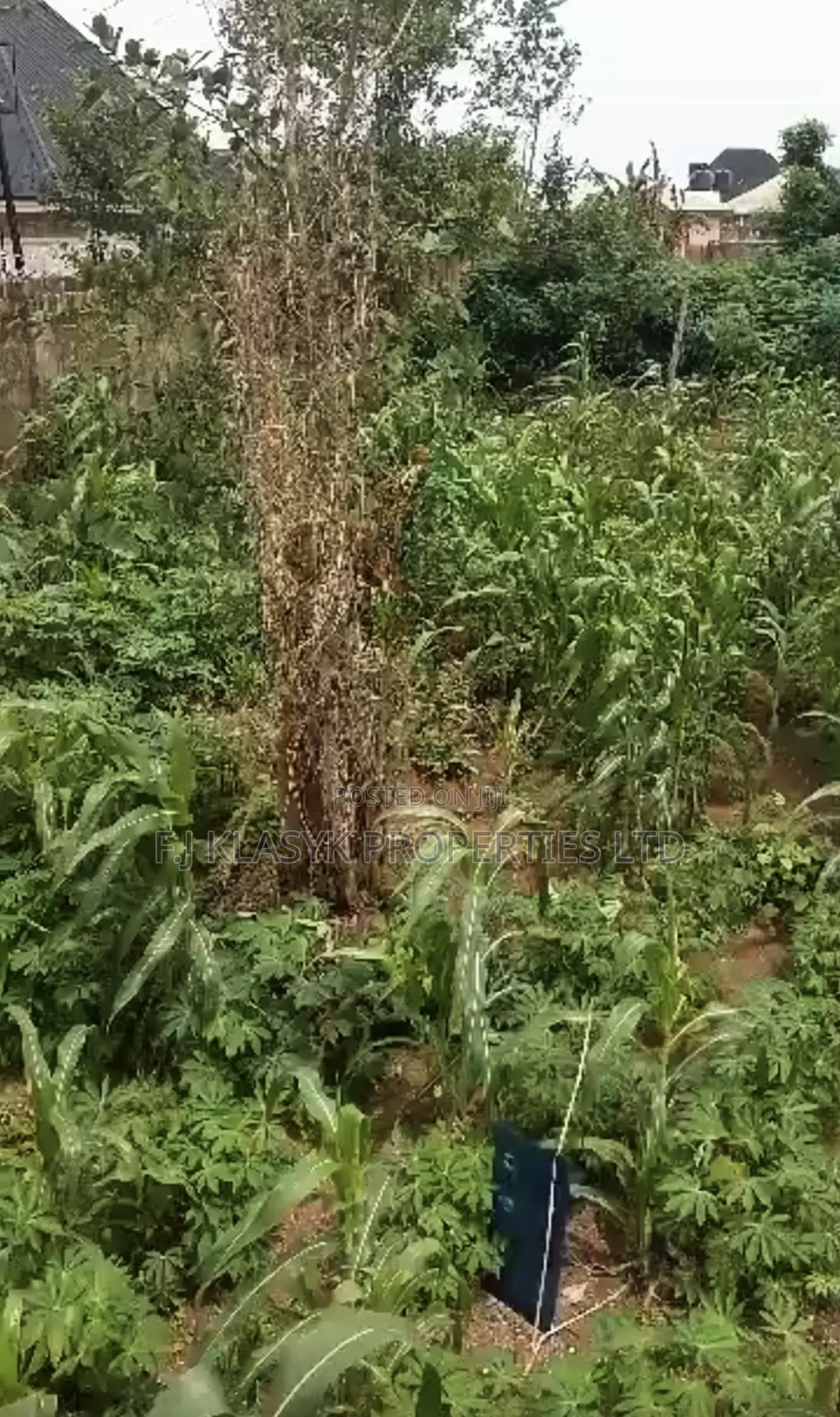 100ft by 200ft Fence Round in a Serene Environment in Benin City