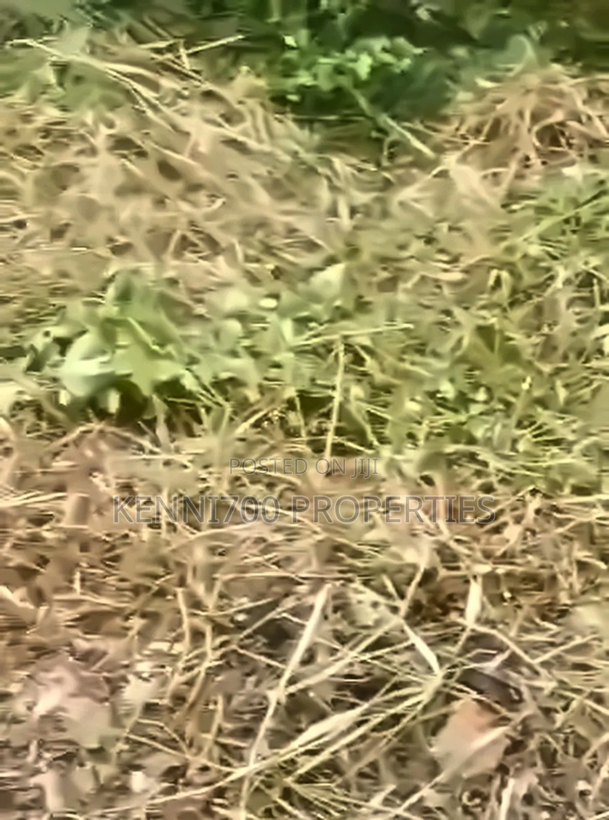 2 Plots of Land in Unilag Estate Magodo in GRA Phase 1