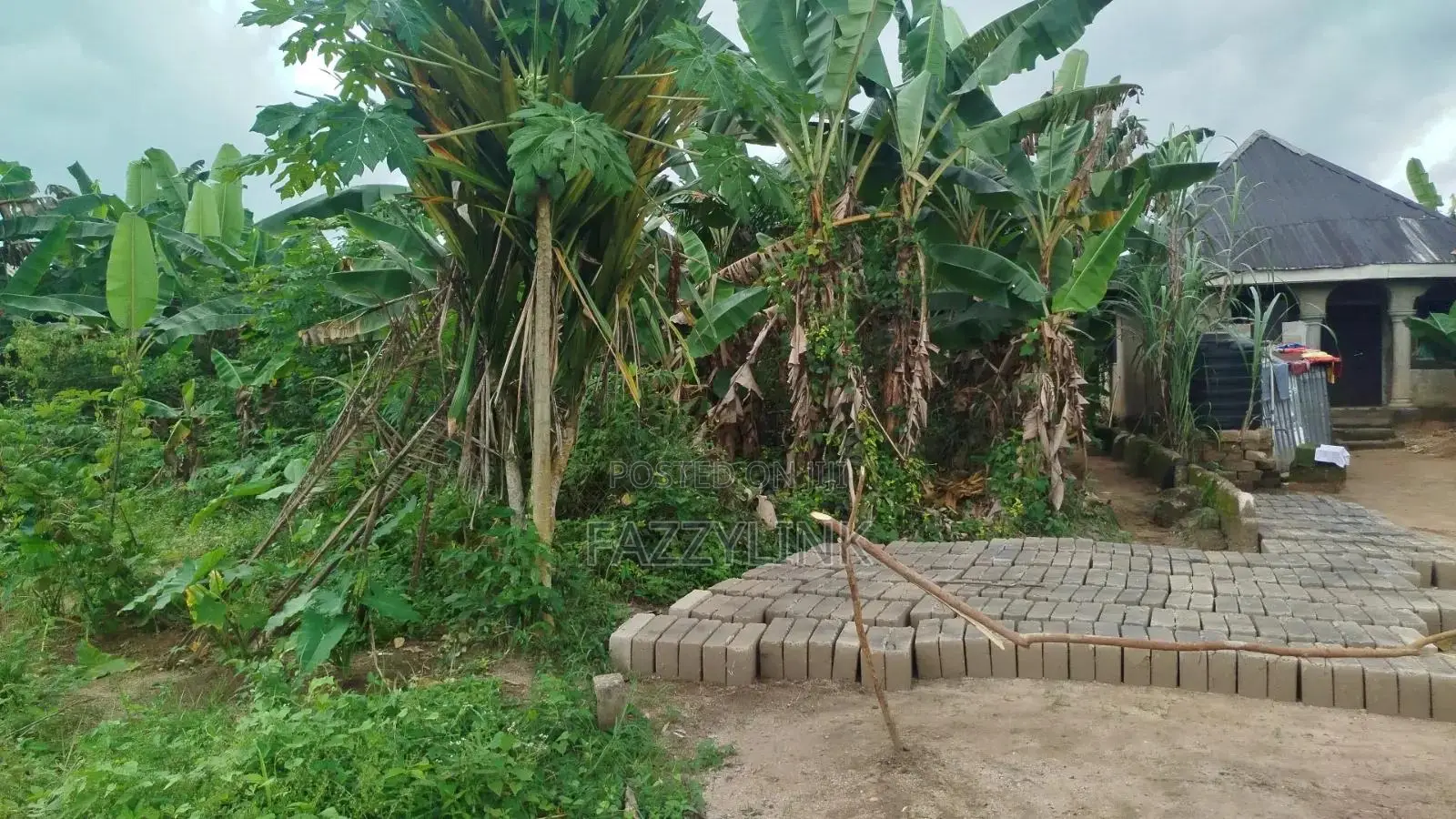Omukwe Oparagwa,omagwa, Rivers State. Price Per Plot in Rukpokwu
