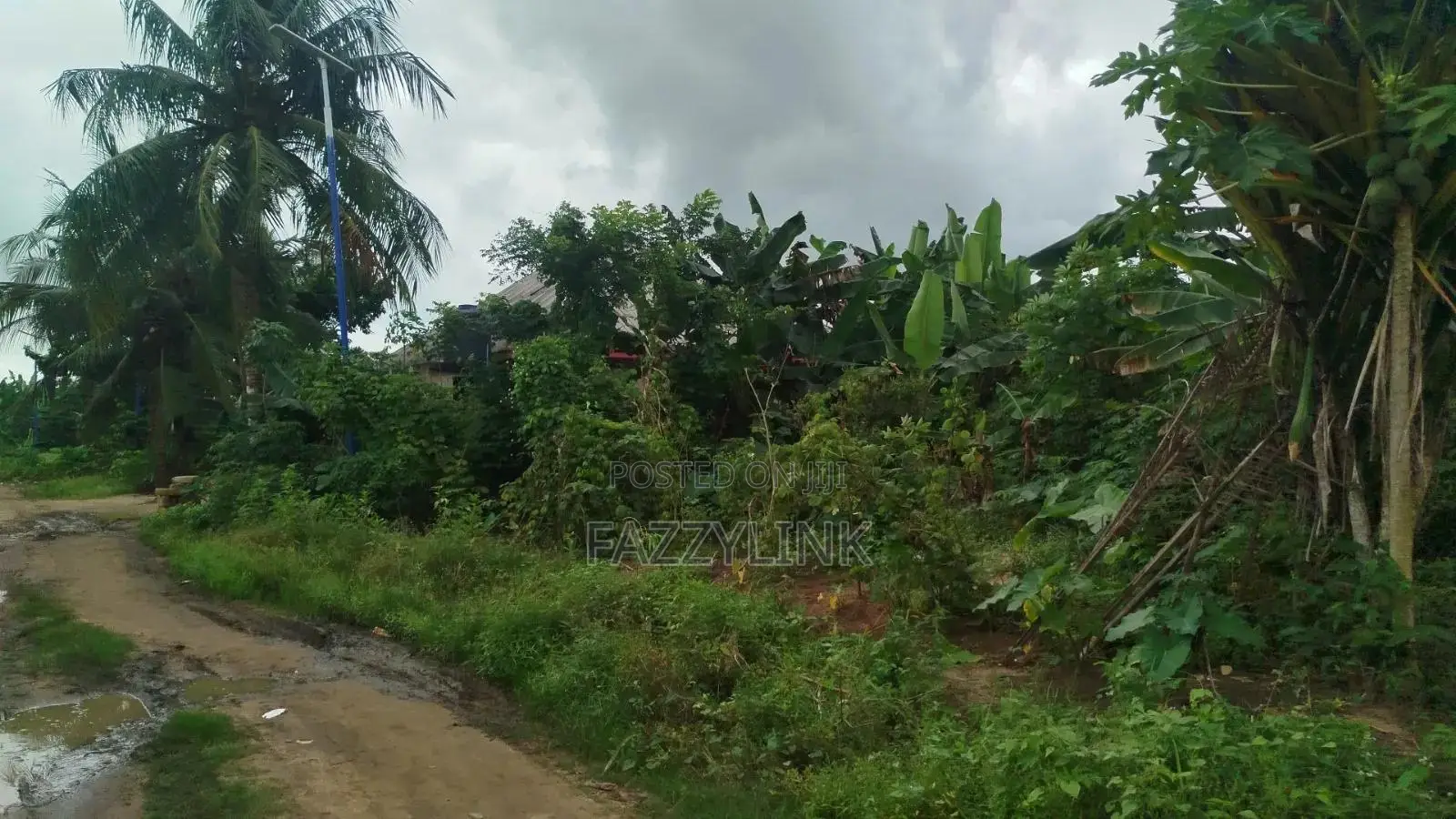 Omukwe Oparagwa,omagwa, Rivers State. Price Per Plot in Rukpokwu