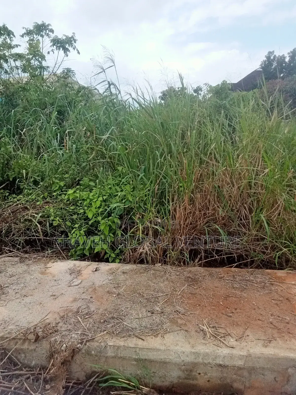 Plot of Land at Abiola Gasline. Ca in Ado-Odo/Ota