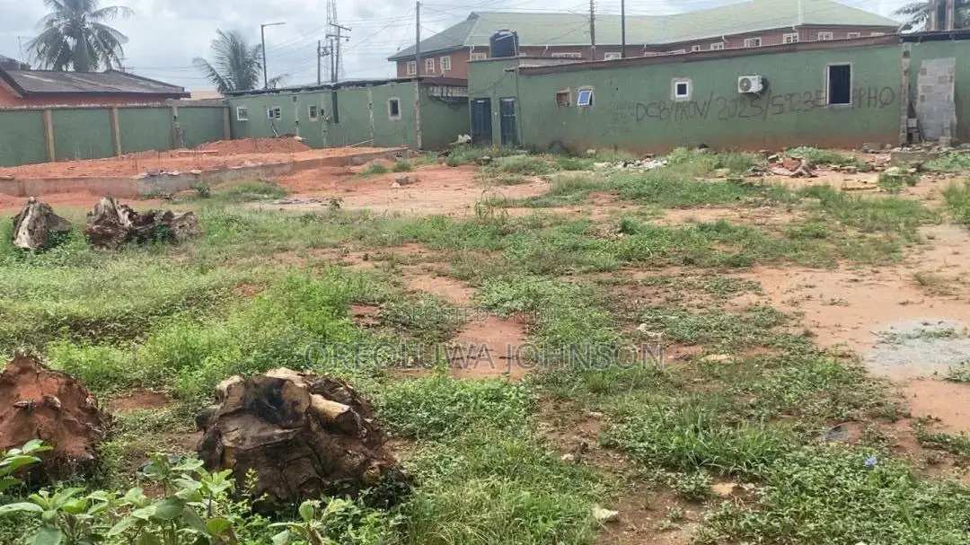 Two and Half Plots of Land in Shagari