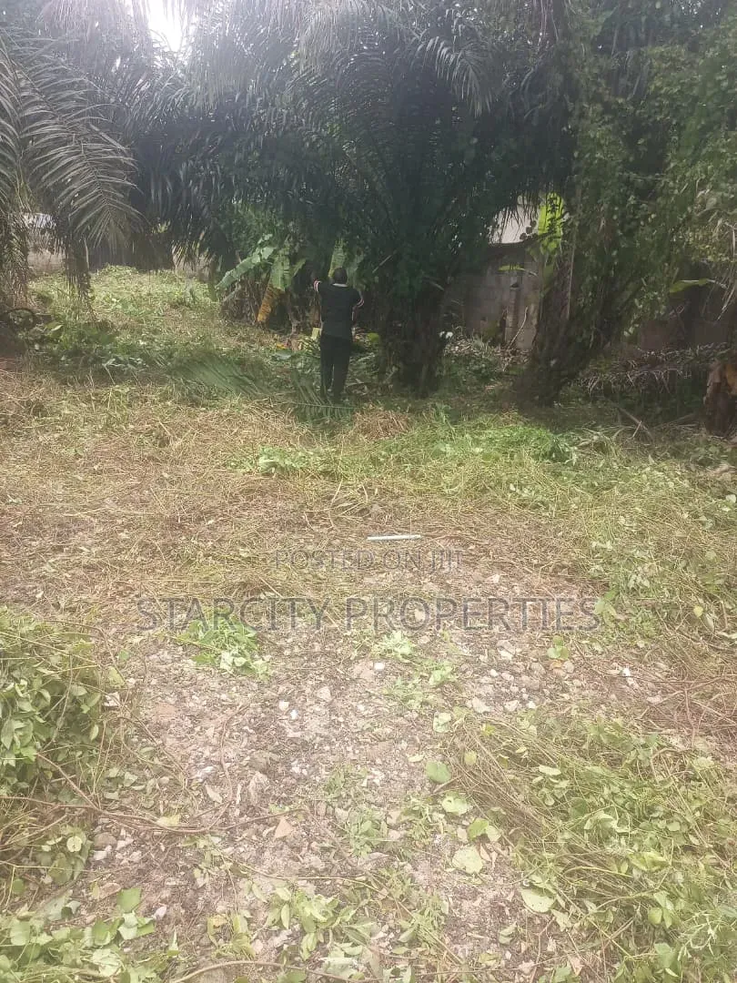 Acres of Fertile Land for Rent in Epe Lagos in a Well Secured Area in Epe