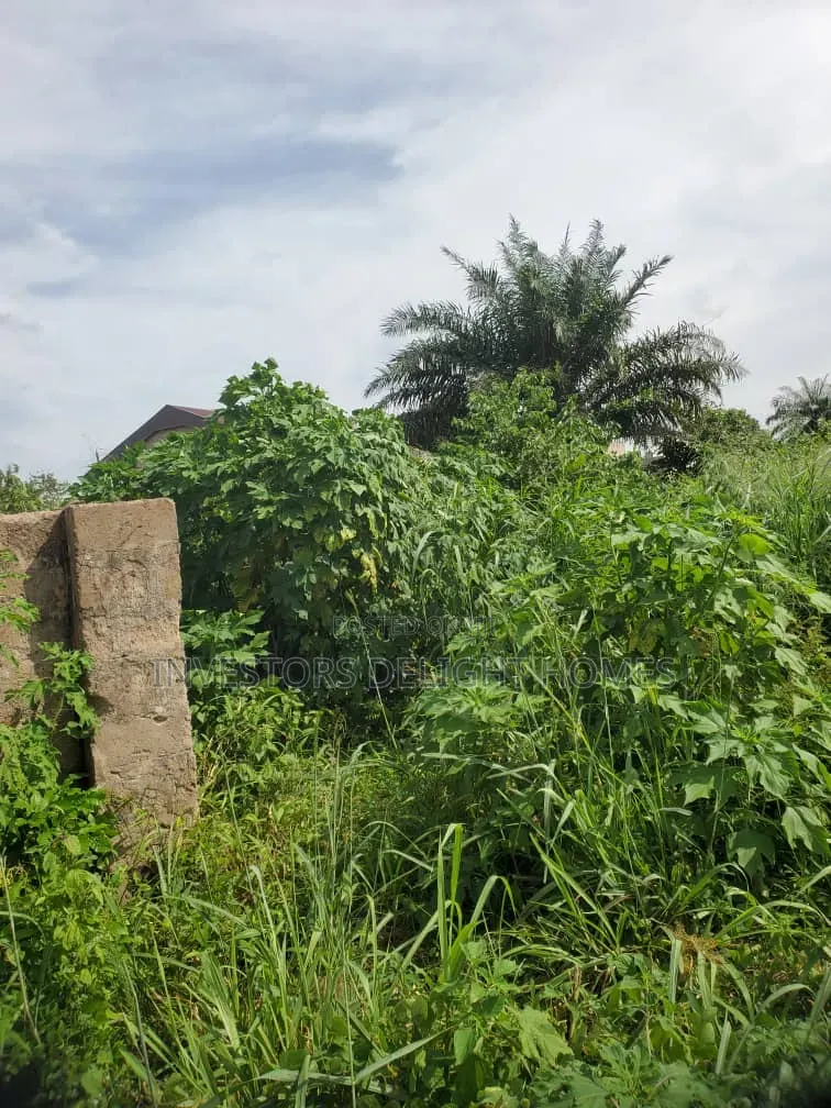 Residential Land for Sale in Oshimili North