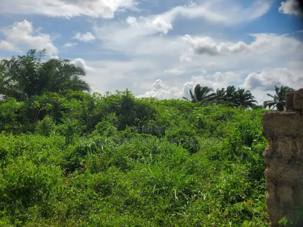 Residential Land for Sale in Oshimili North