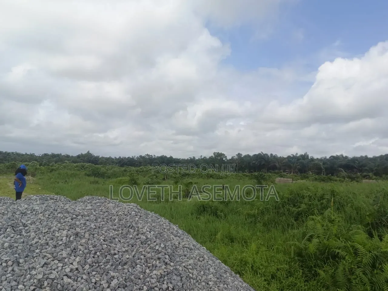 Land for Sale at Nwella Court, Iba, Ojo, Lagos in Iba / Ojo