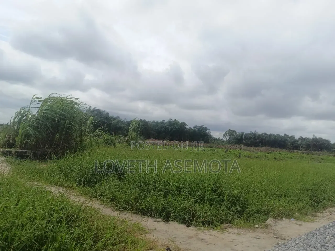 Land for Sale at Nwella Court, Iba, Ojo, Lagos in Iba / Ojo
