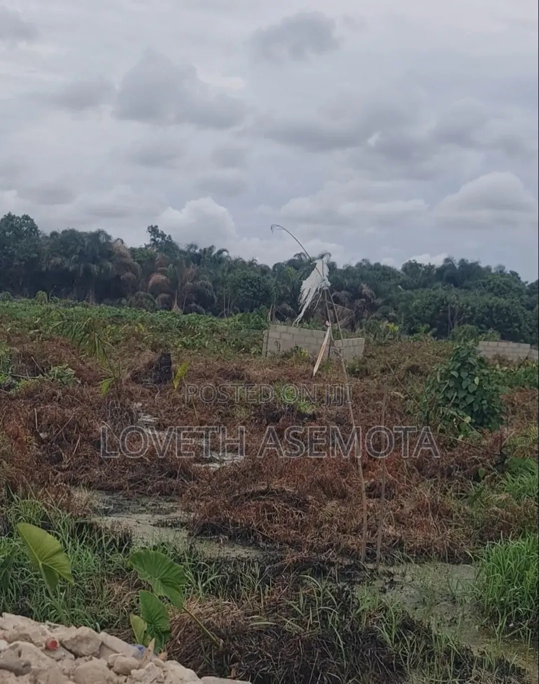 Land for Sale at Nwella Court, Iba, Ojo, Lagos in Iba / Ojo