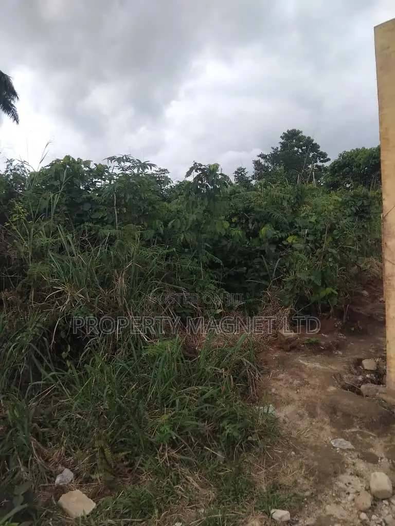 1 Plot of Land for Sale at Amakama Olokoro Umuahia in Umuahia