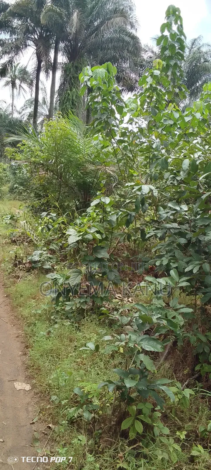400 Plots Available for Sale. in Ukwa