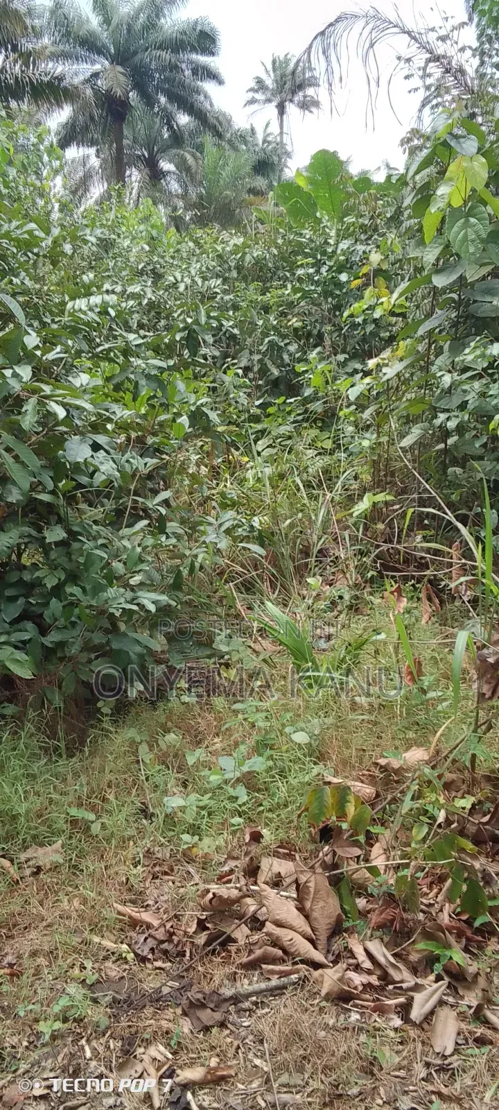 400 Plots Available for Sale. in Ukwa