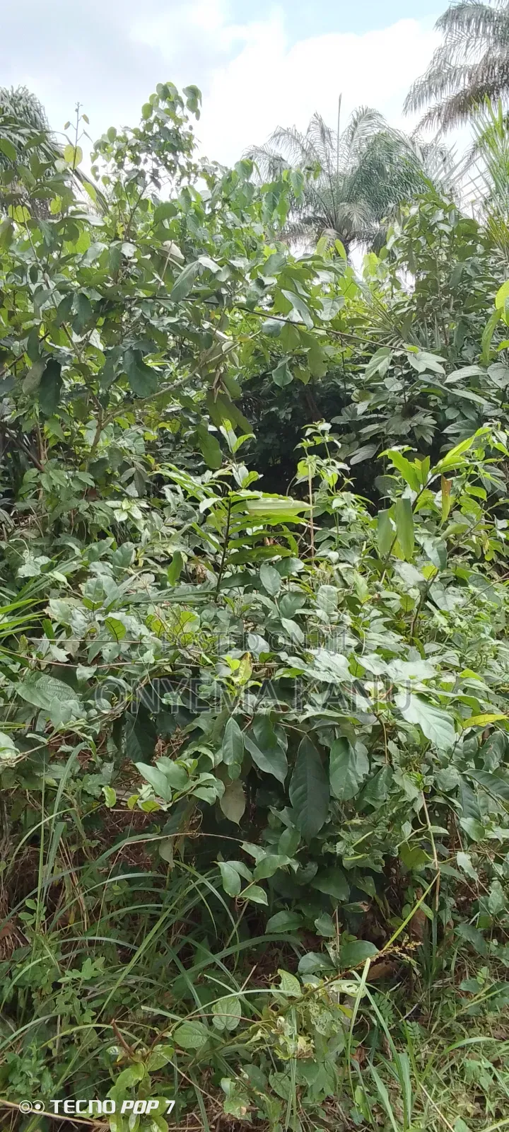 400 Plots Available for Sale. in Ukwa