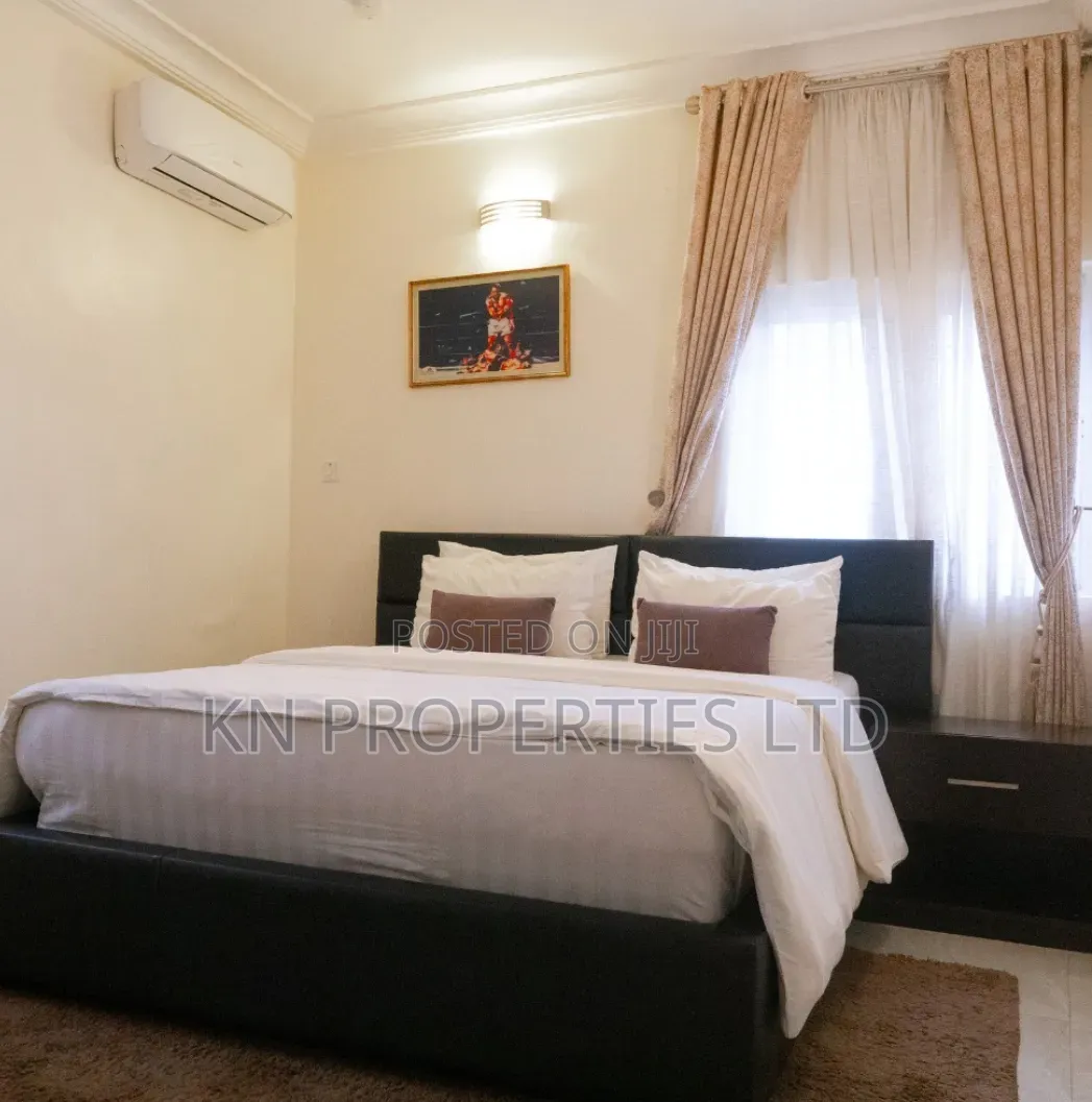 Furnished 2bdrm Apartment in Garki for rent in Garki