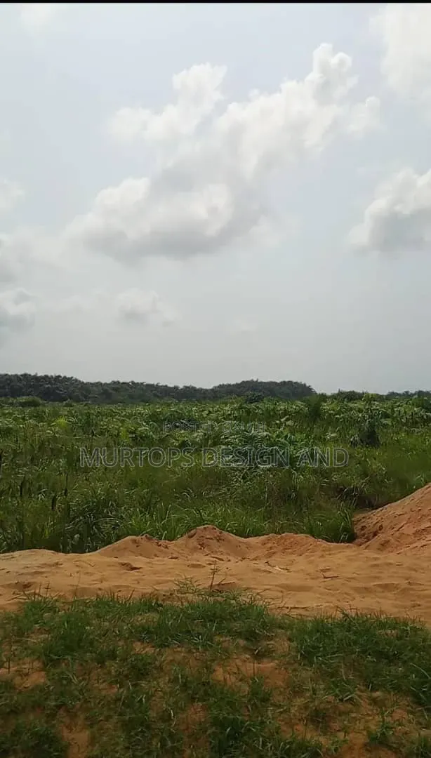 50 Acres of Land With Good Title in Shapati Lekki Epe Expr. Way Lagos in Lekki Expressway