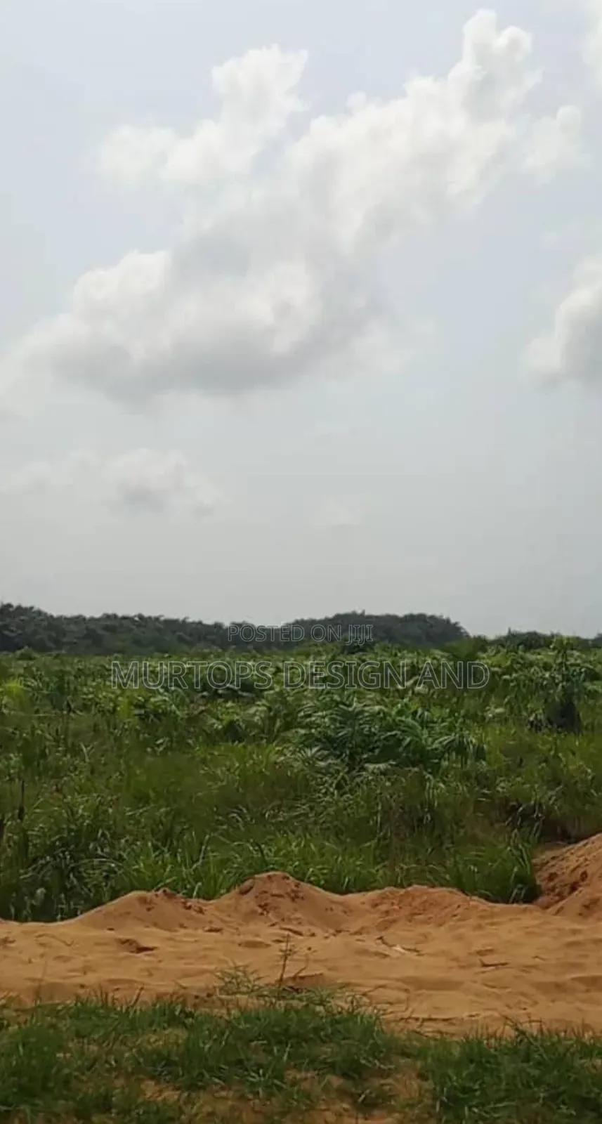 50 Acres of Land With Good Title in Shapati Lekki Epe Expr. Way Lagos in Lekki Expressway