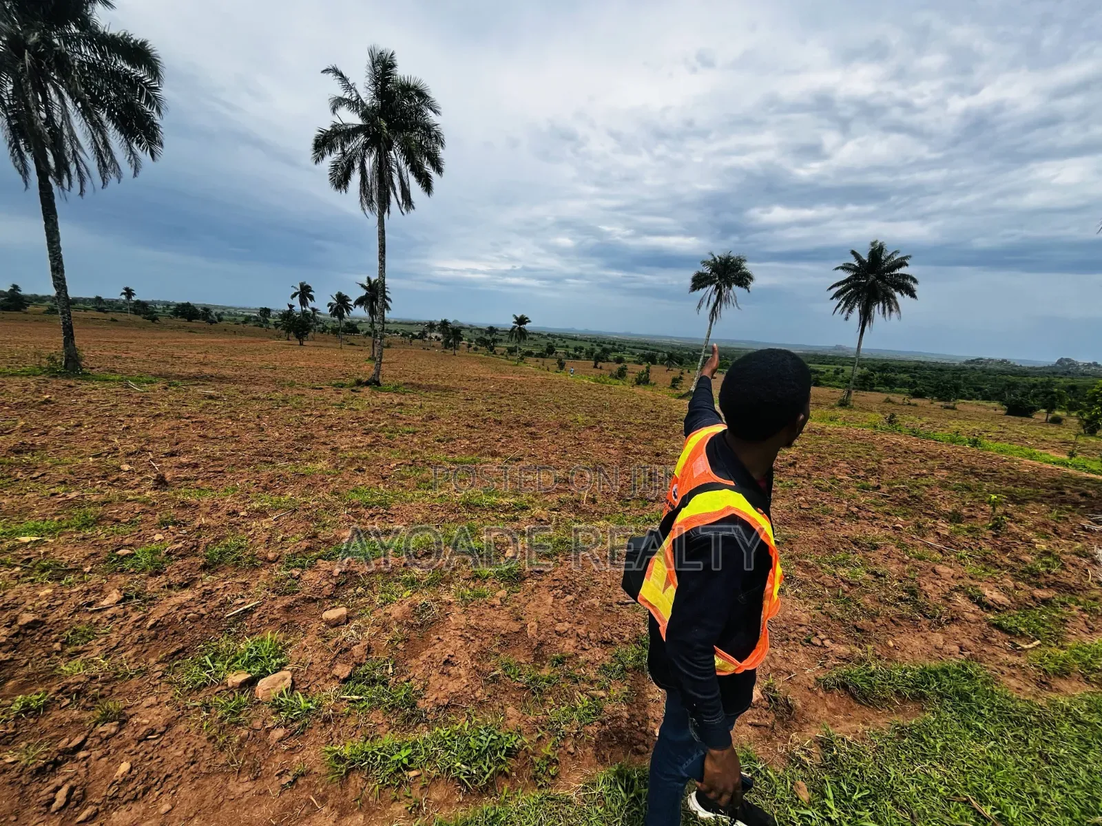 TREASURE CITY: Palm Plantation Land for Long-Term Investment in Ibadan