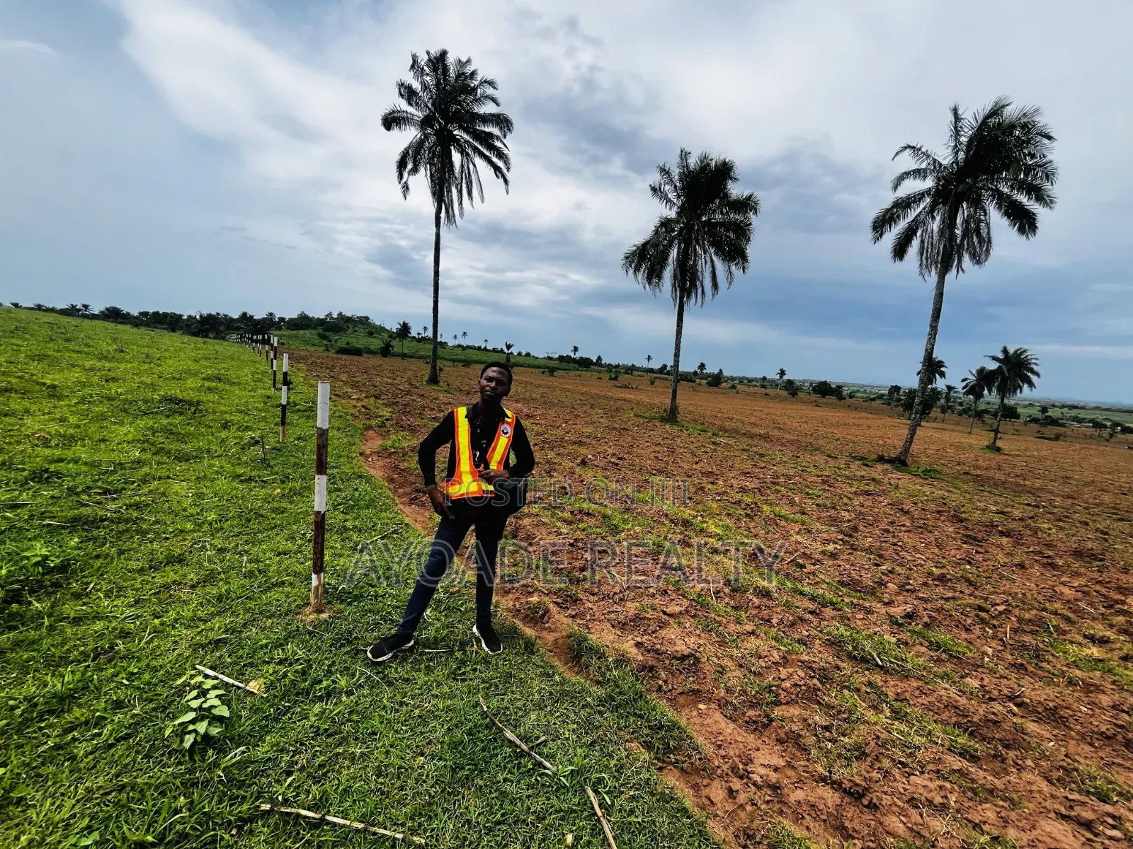 TREASURE CITY: Palm Plantation Land for Long-Term Investment in Ibadan