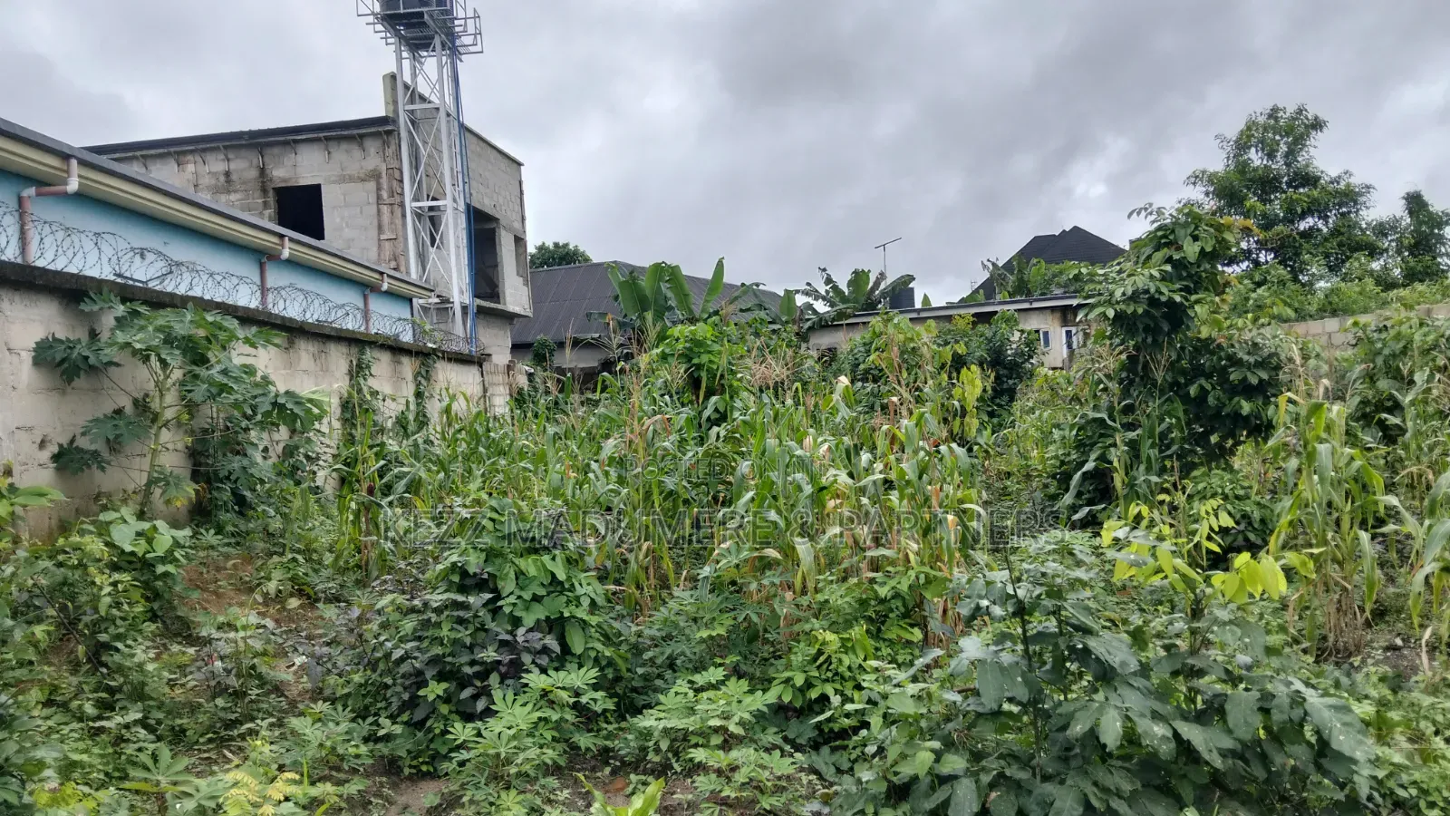 For Sale : Partly Fenced 1 Plot at Rumuokparali in Rumuepirieli